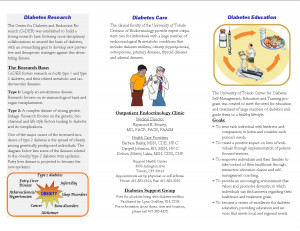 Diabetes Patient Education Brochure