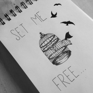 birds, black and white, free, freedom, love, quote, text
