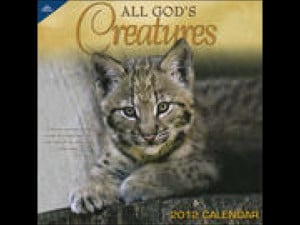 All God's Creatures 2012 Wall Calendar