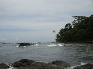 Sea-waves-at-Corcovado-National-Park-DrakeBay-Wilderness-Resort ...
