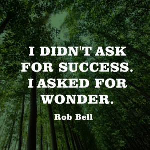 quotes-success-wonder-rob-bell-480x480.jpg