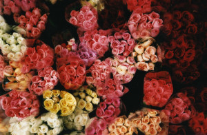 Work For Me (Mads Mikkelsen)