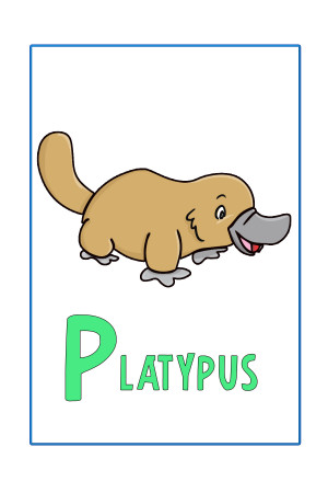 Animals That Start with Letter P