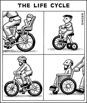 cycle of life