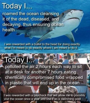 Makes you think? Ocean Force bracelets support Project Aware, PADI's ...