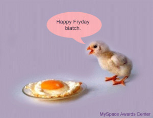 Happy Friday Funny Animals Happy firday biatch