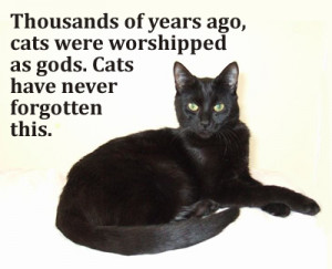 Thousands of years ago, cats were worshipped as gods. Cats have never ...