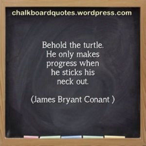 More like this: turtles , gratitude and bible verses .