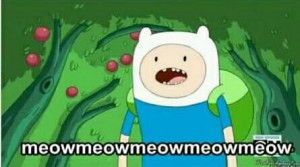 Adventure Time - Finn Quotes