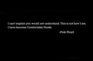 Comfortably numb Love Pink Floyd