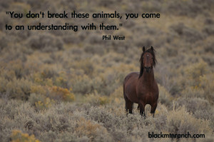 You don’t break these animals, you come to an understanding with ...