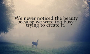 quotes about beauty of nature if you truly love nature you quotes ...