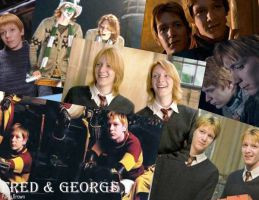 Fred And George Weasley Fan Art Fred + george weasley collage