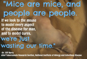 Animal Testing Quotes 8 reasons why animal testing
