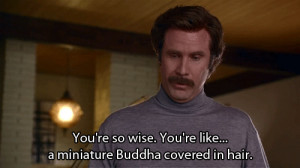 You’re so wise. You’re like a miniature Buddha, covered in hair