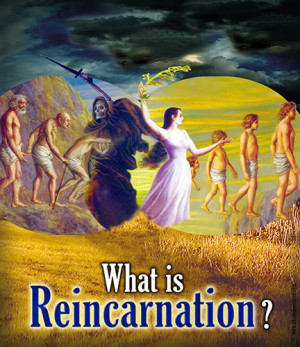 Metaphysics of Reincarnation 2 Discs