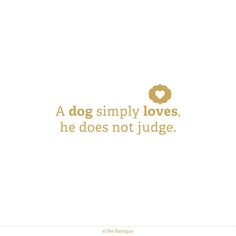 Love should be plain, unconditional love. pet, dog, quot