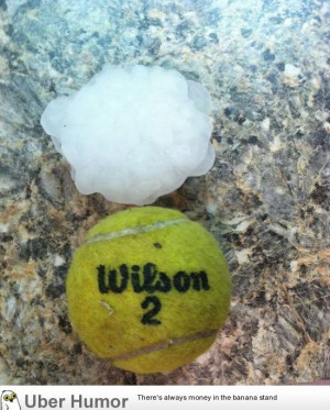 had a hail storm here in highland Michigan. | Funny Pictures, Quotes ...