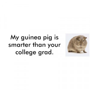 Funny Quotes about Guinea Pigs 5
