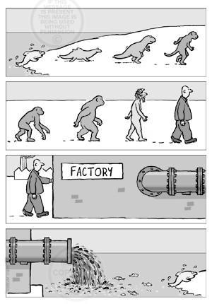 Darwin Evolution Cartoon