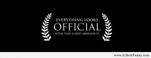 everything-looks-official-facebook-cover