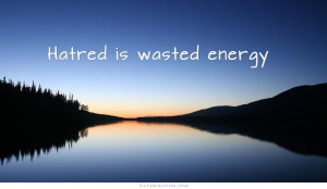 Hate Quotes Hatred Quotes Waste Of Time Quotes