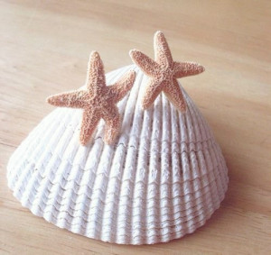 Aquamarine's Starfish Earrings Real Starfish Earrings Inspired By ...