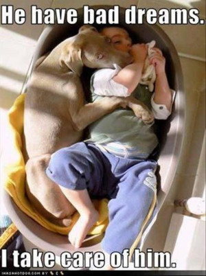 Check out Contests on LockerDome on LockerDome