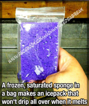 frozen, saturated sponge in a bag makes an icepack that won't drip ...