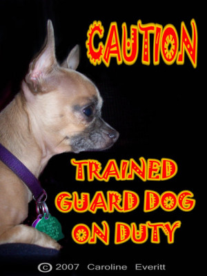 Quotes Dog Training...