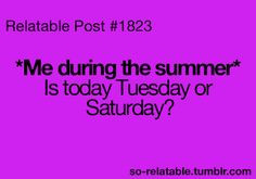 funny summer quotes images - Google Search