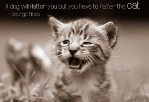 Cats Quote: A dog will flatter you but you... Cat- (5)