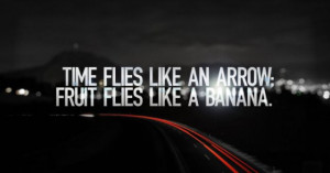 Time Flies Like an Arrow Fruit Flies Like a Banana.