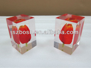 ... Acrylic Paperweight with Tulip Inside, Lucite Cube, Acrylic Block