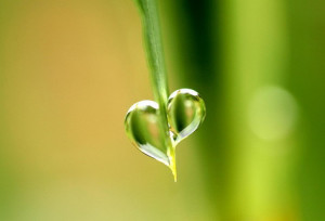 Heroes for Healing is a group writing project created by Jenny Mannion ...