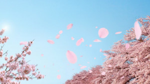 690669862-floating-hovering-clump-of-trees-sakura-cherry-tree.jpg