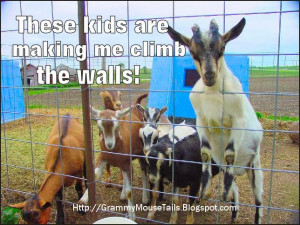Even goats need a break from the kids once in awhile!