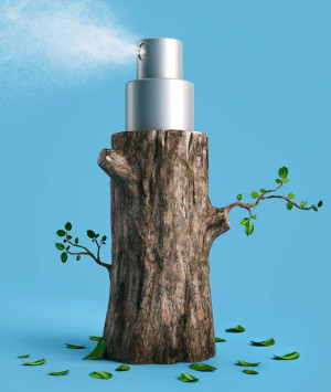 Esquire Magazine on Men's Woodsy Colognes / A woody fragrance smells ...