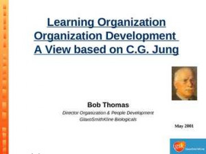 learning organization organization development keep option open ...