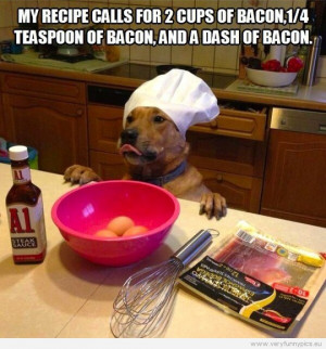 funny bacon quotes,funny tf2 pictures,funny usernames for xbox,funny ...