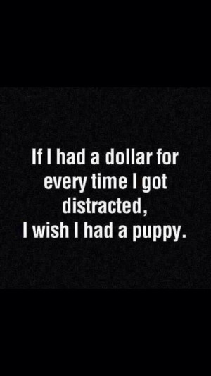 Pinned by Diana Cooper