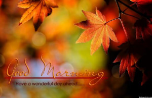 HD Have A Wonderful Day Quotes Wallpaper