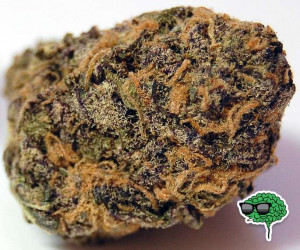 Purple Kush Marijuana...