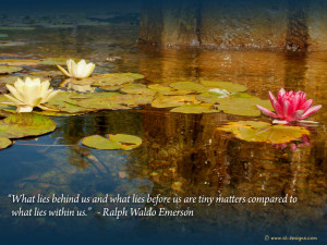 Life Quote on a wallpaper - motivational Quote