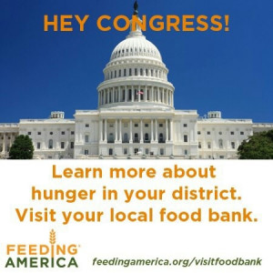 Feeding America infosnap