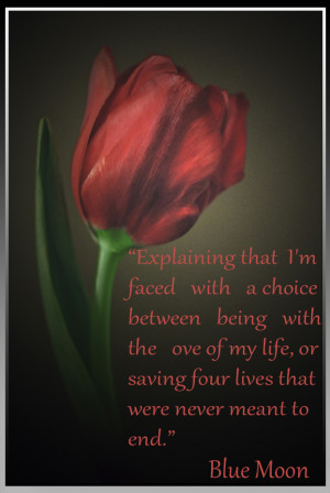 Caso esteja se perguntando, acabou antes mesmo de a tinta secar. Ou ...