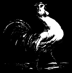rooster-crowing