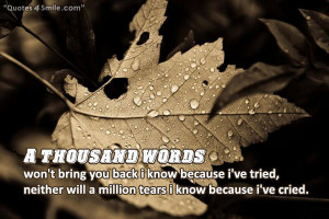 thousand words won’t bring you back i know because i’ve tried ...