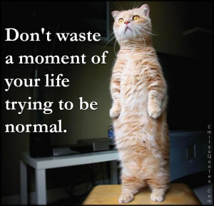 Don't waste a moment of your life trying to be normal.”