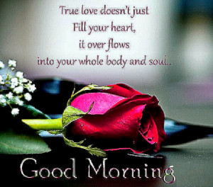 Beautiful Love Poems For Her Hd Good Morning Love Quotes For Her